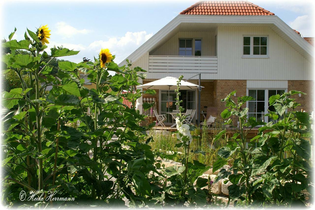 Apartment Seerose Remseck am Neckar Ngoại thất bức ảnh